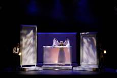 los bandos de verona pedro gato fotografia los bandos de verona pedro gato fotografia